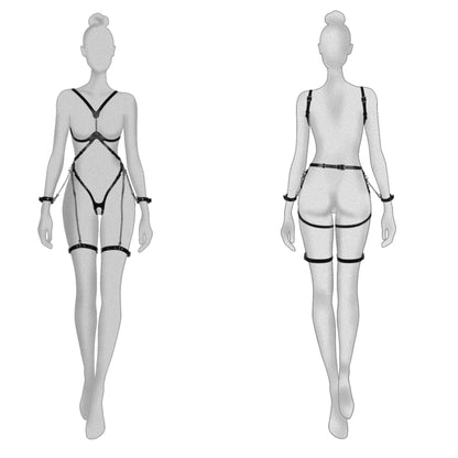 Leather Harness «Fluid»