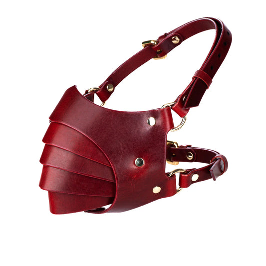 Leather Mask “Ruin”red